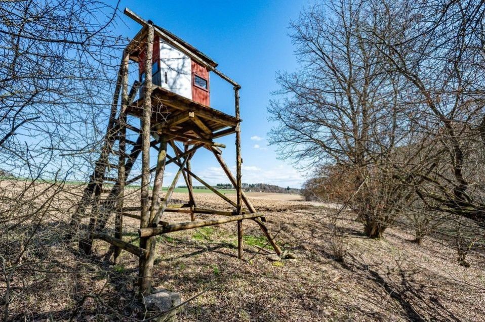 Prodej pozemku 13515 m² - foto 23