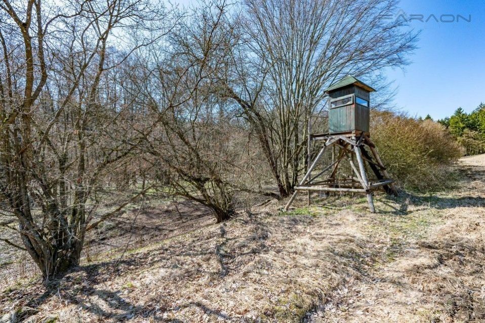 Prodej pozemku 13515 m² - foto 24