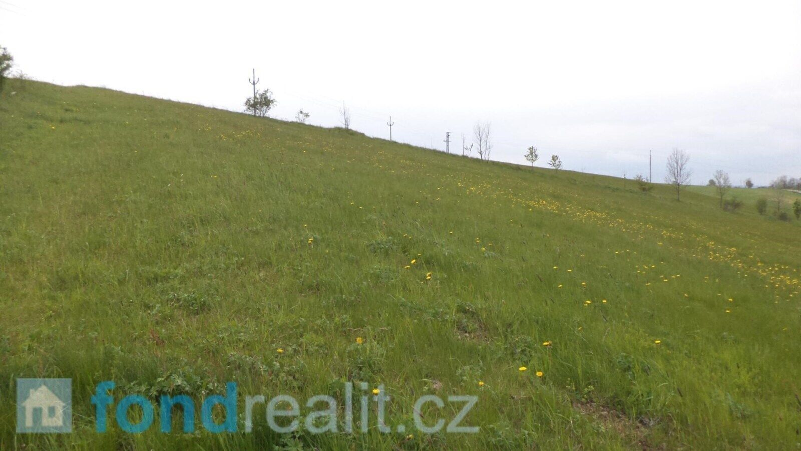 Prodej nemovitosti 4440 m² - foto 3