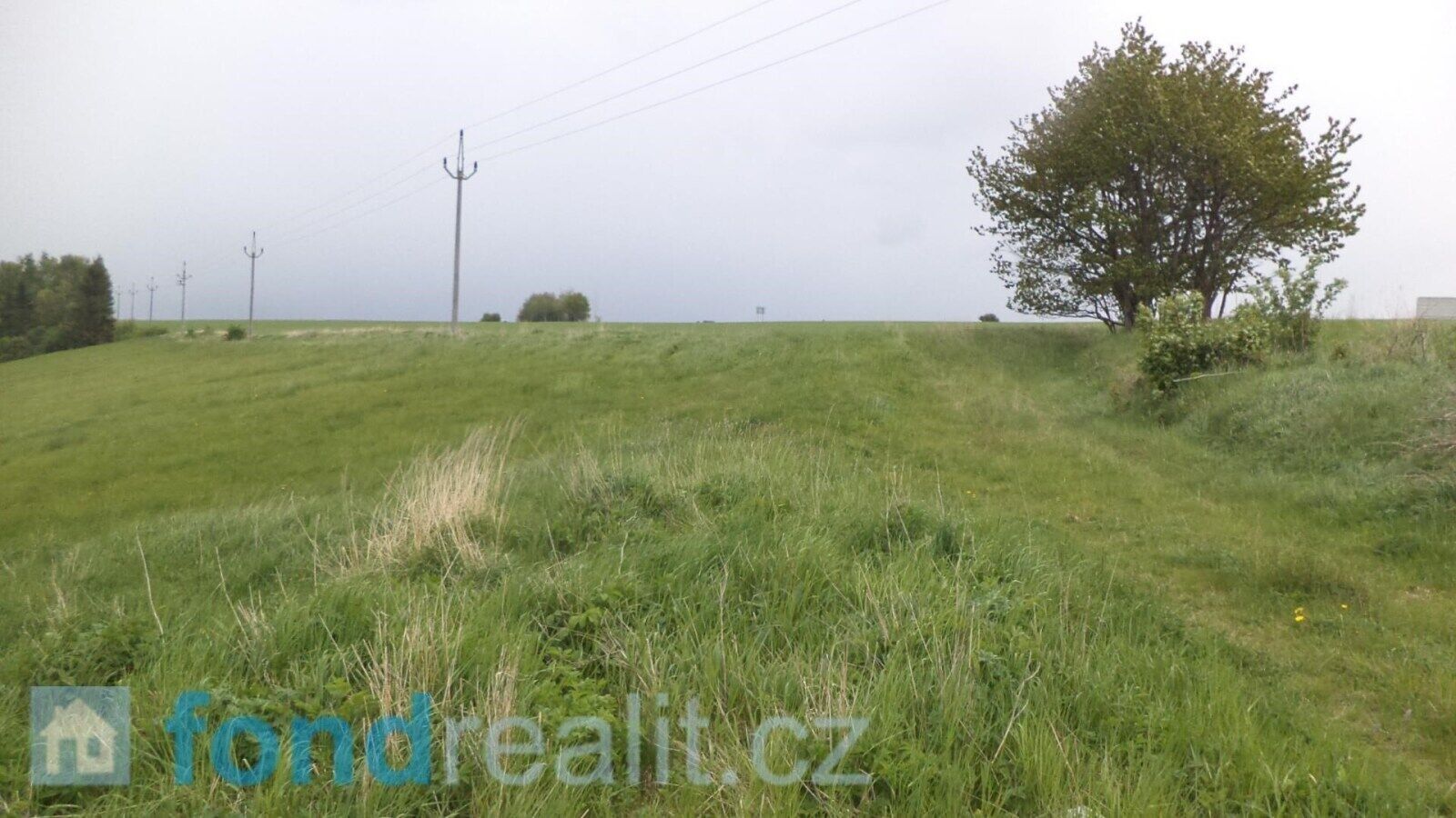 Prodej nemovitosti 4440 m² - foto 4
