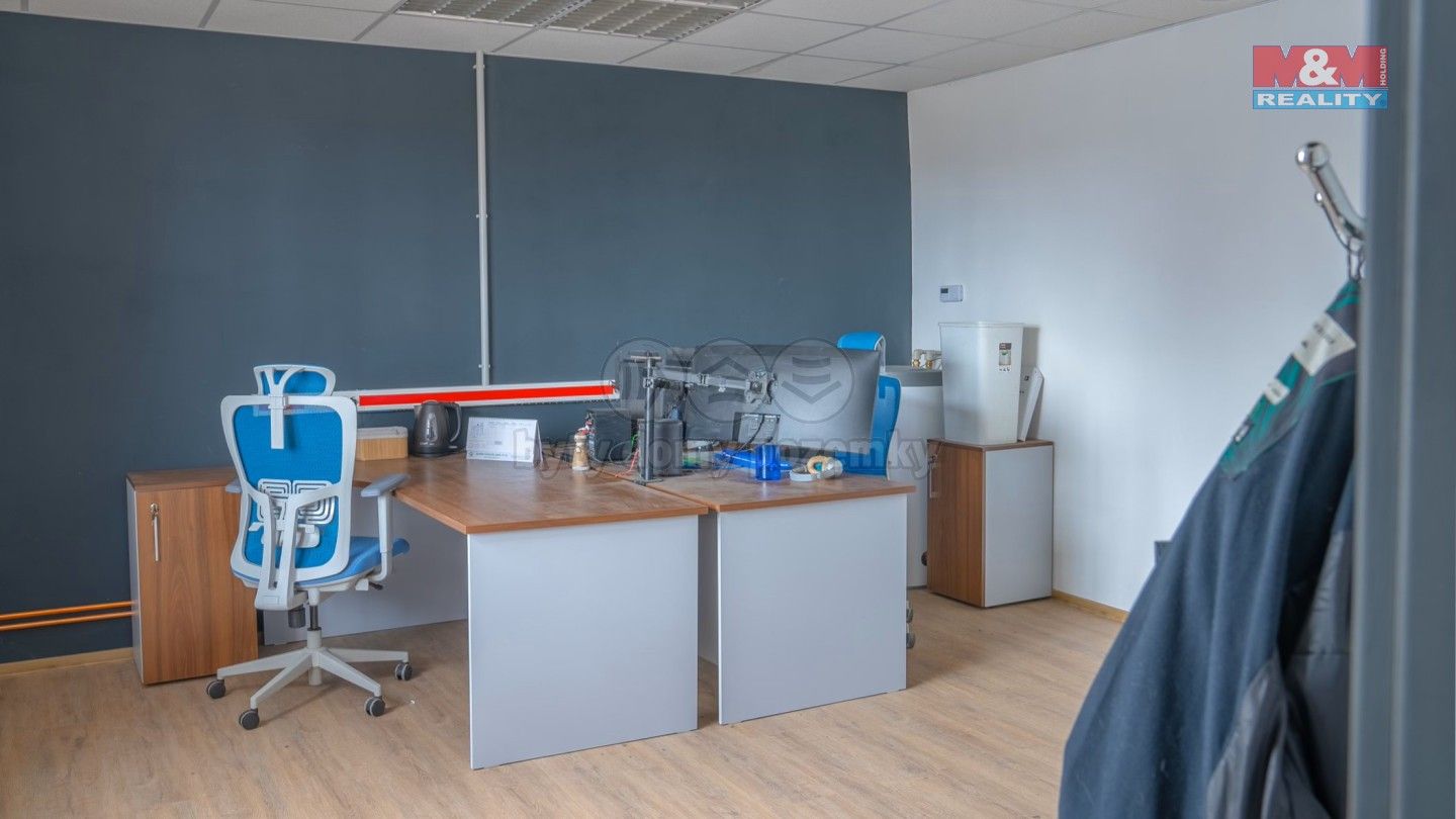 Pronájem komerčního prostoru 750 m² - foto 6