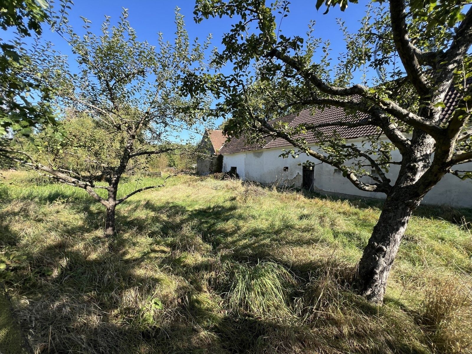 Prodej domu 460 m² - foto 7