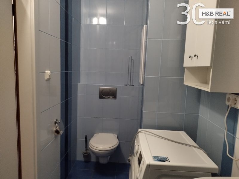 Pronájem bytu 2+kk 55 m² - foto 10