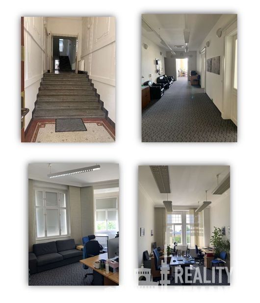 Pronájem komerčního prostoru 325 m² - foto 5