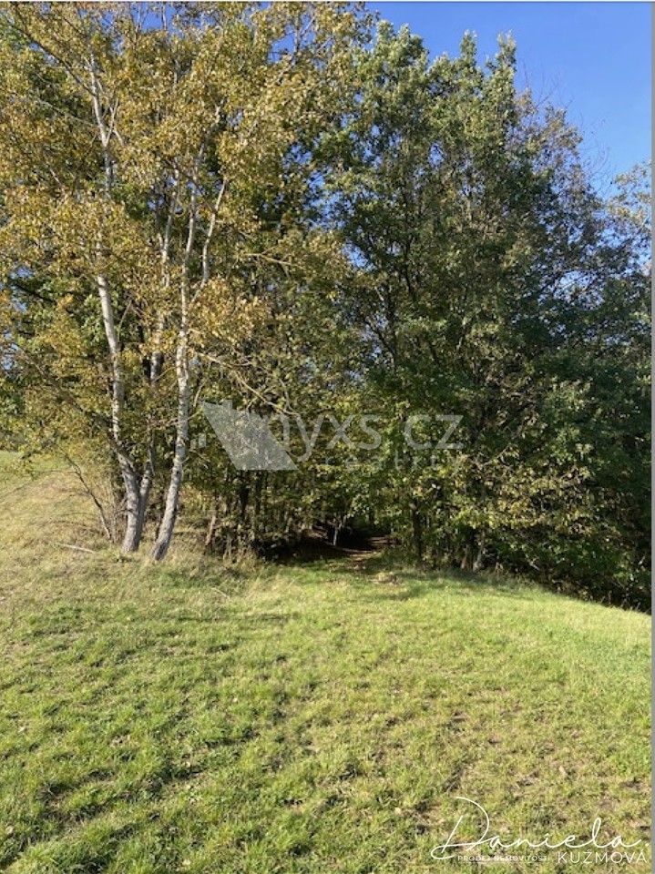 Prodej pozemku 7468 m² - foto 8
