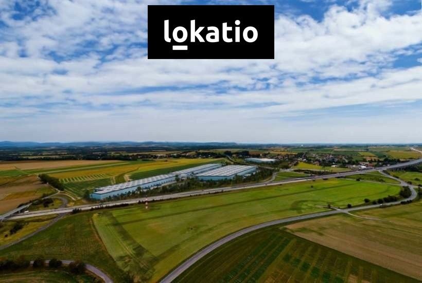 Pronájem komerčního prostoru 20000 m² - foto 8