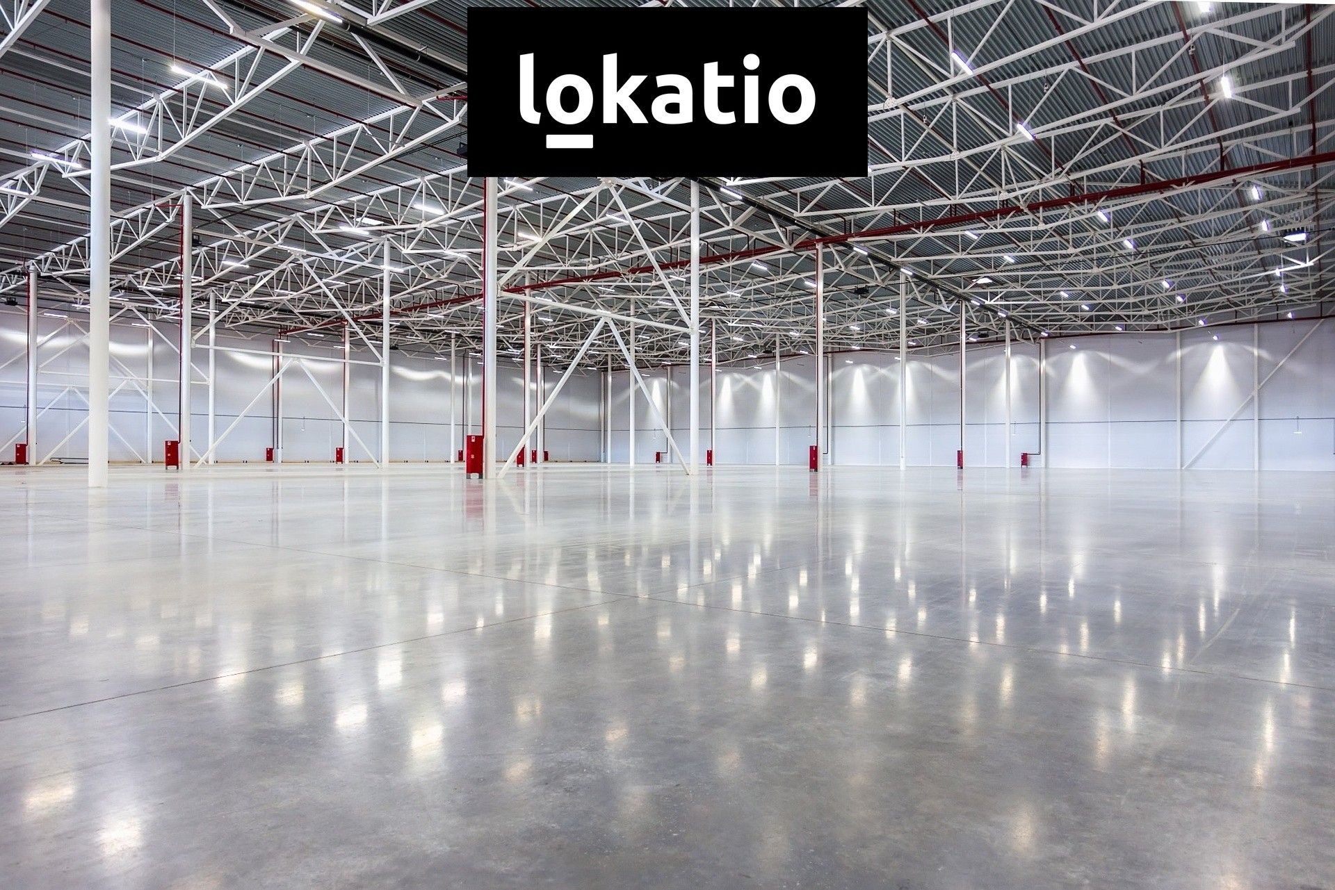 Pronájem komerčního prostoru 20000 m² - foto 2