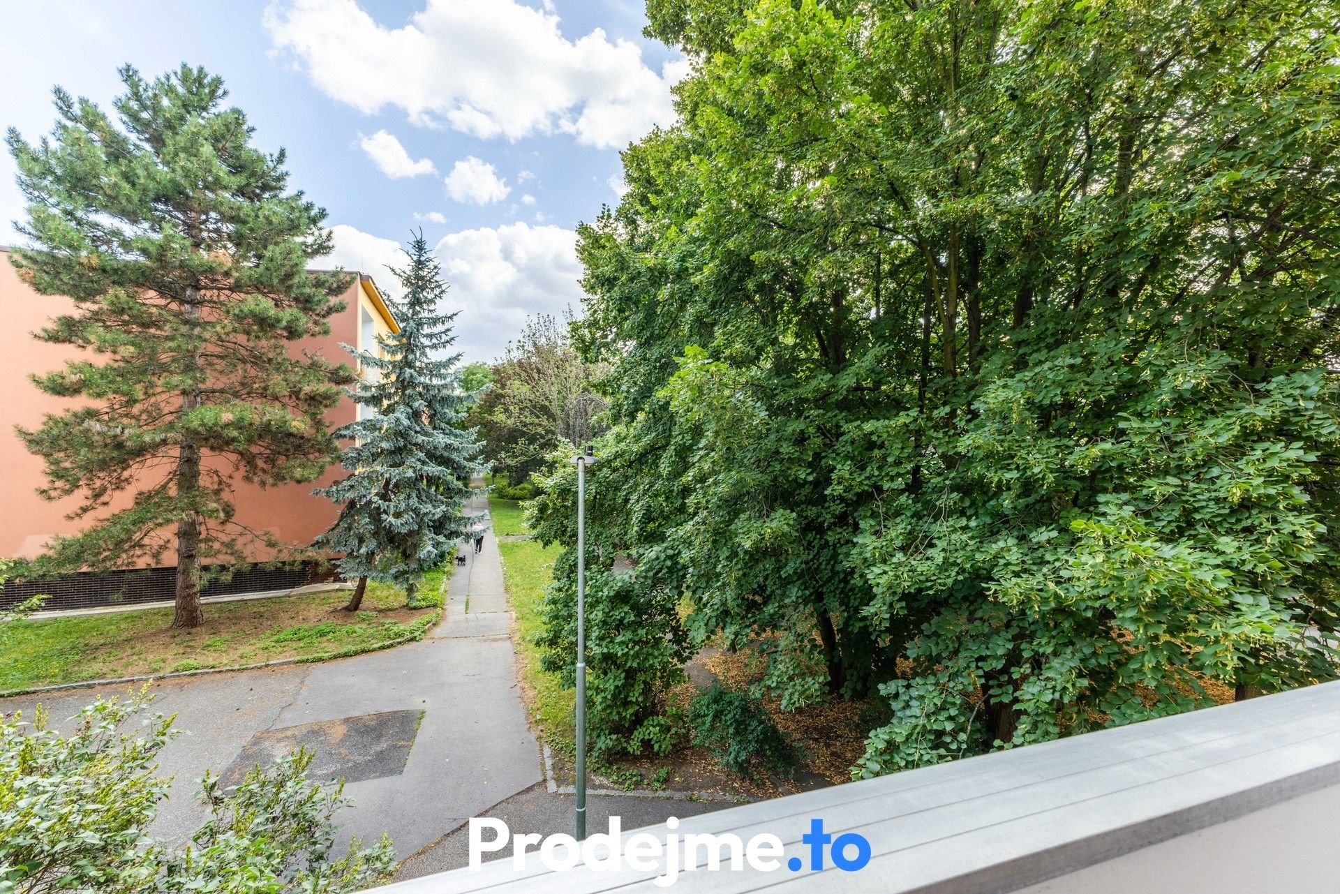 Pronájem bytu 3+1 77 m² - foto 11