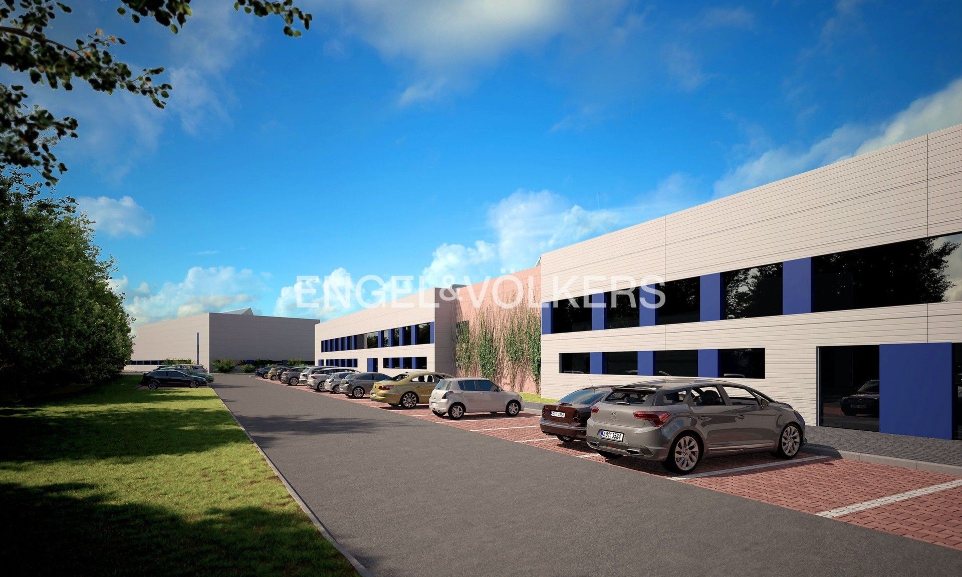 Pronájem komerčního prostoru 5000 m² - foto 2