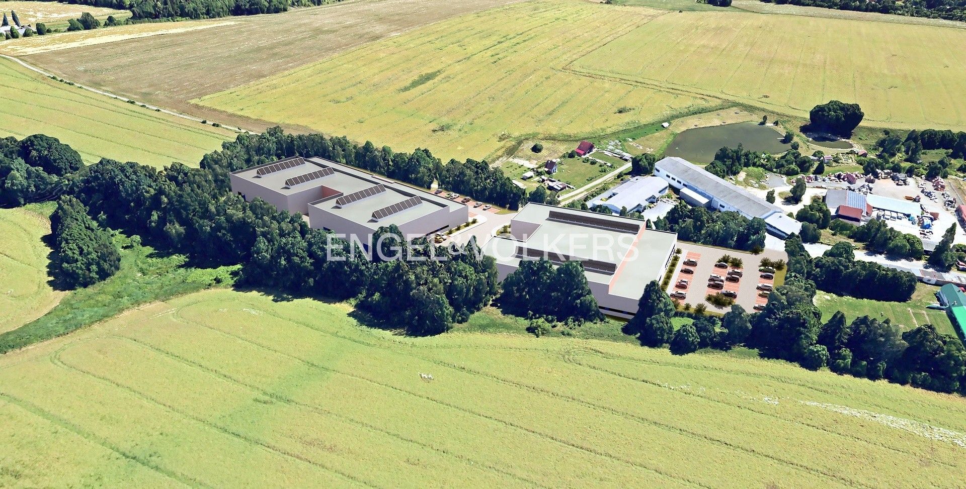 Pronájem komerčního prostoru 5000 m² - foto 3