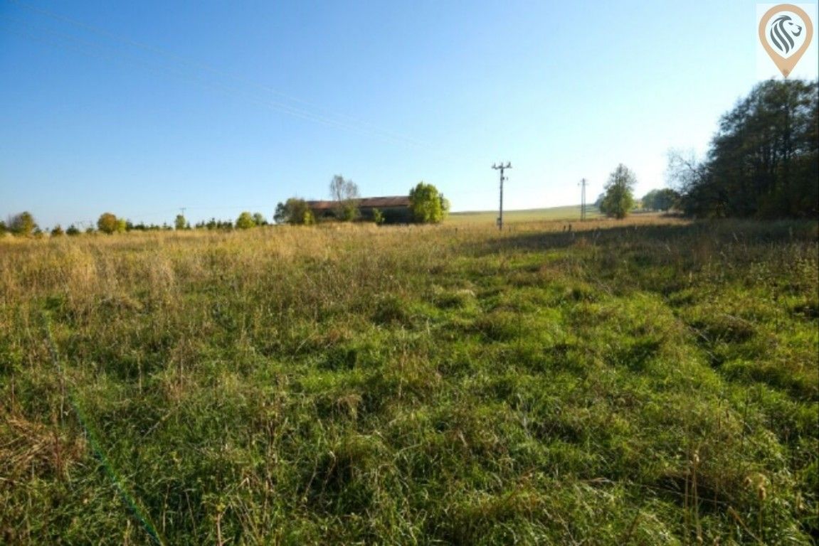 Prodej pozemku 12886 m² - foto 3