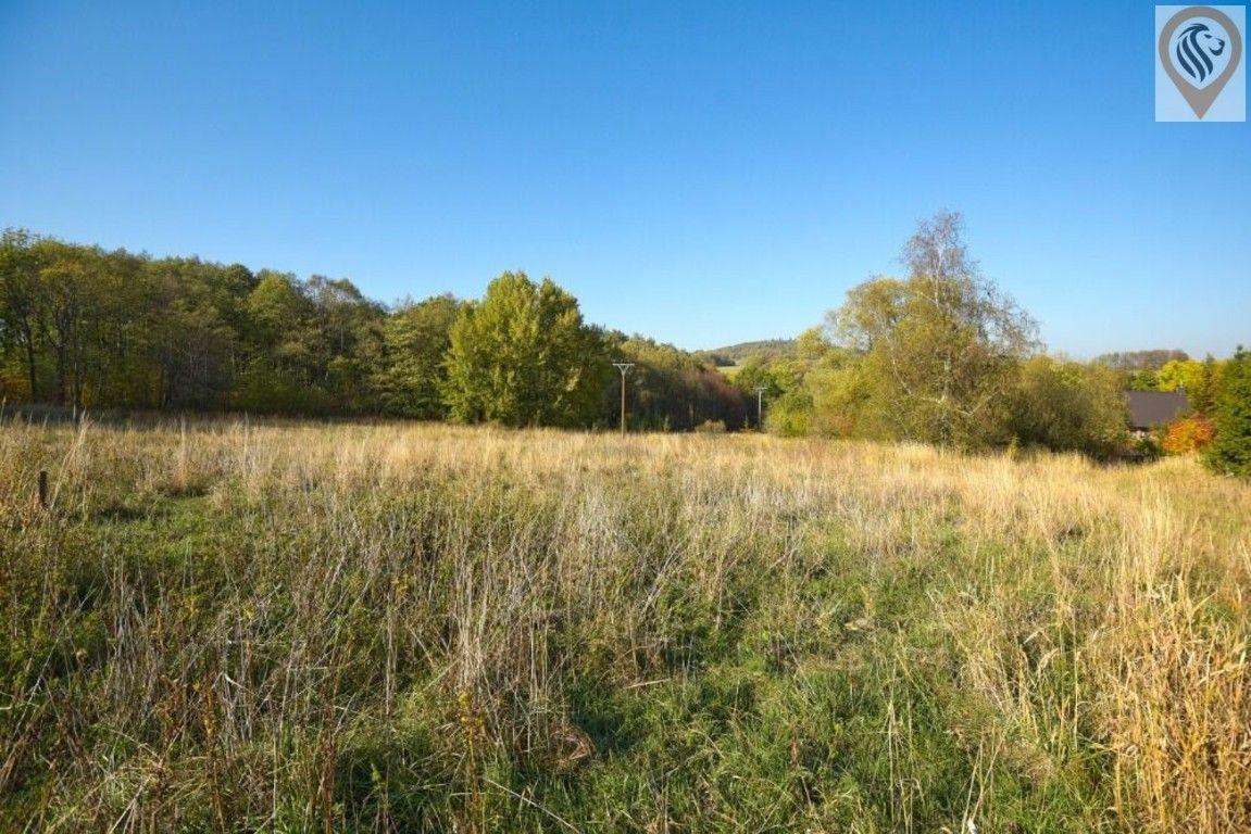 Prodej pozemku 12886 m² - foto 1