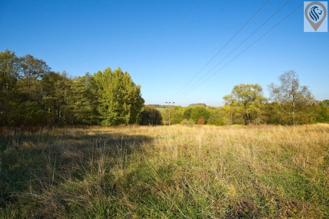Prodej pozemku 12886 m² - foto 4
