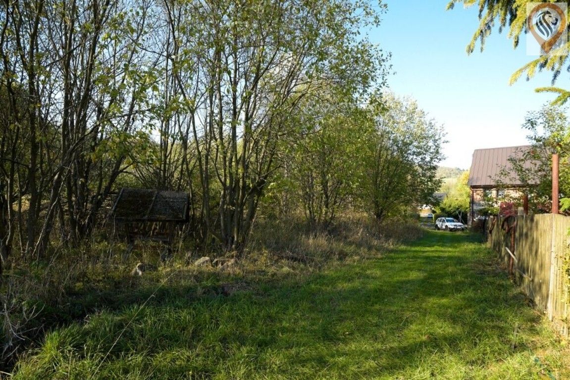 Prodej pozemku 12886 m² - foto 5
