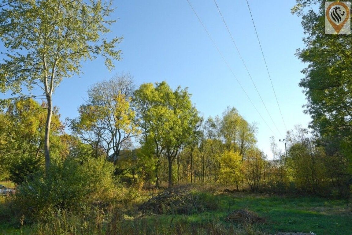 Prodej pozemku 12886 m² - foto 6