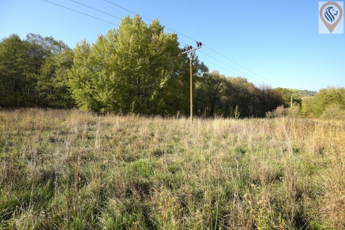 Prodej pozemku 12886 m² - foto 8