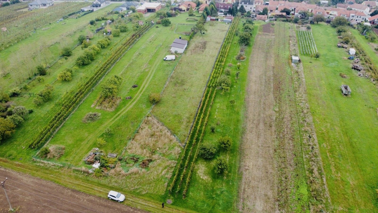 Prodej nemovitosti 1237 m² - foto 11
