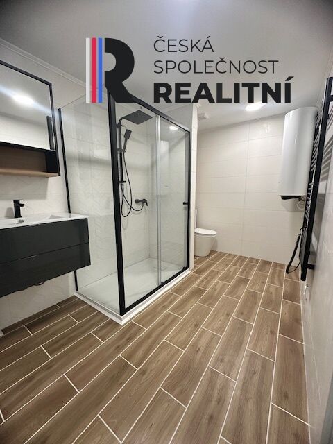 Pronájem bytu 1+kk 53 m² - foto 4