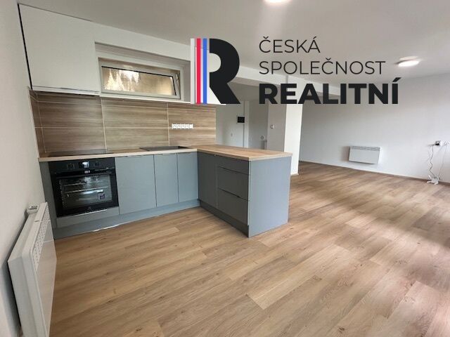 Pronájem bytu 1+kk 53 m² - foto 5