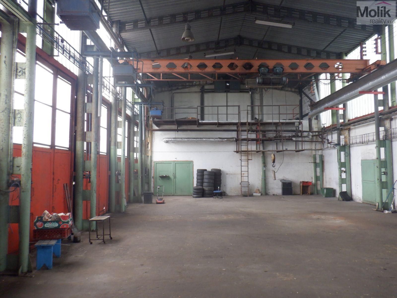 Pronájem komerčního prostoru 2500 m² - foto 4