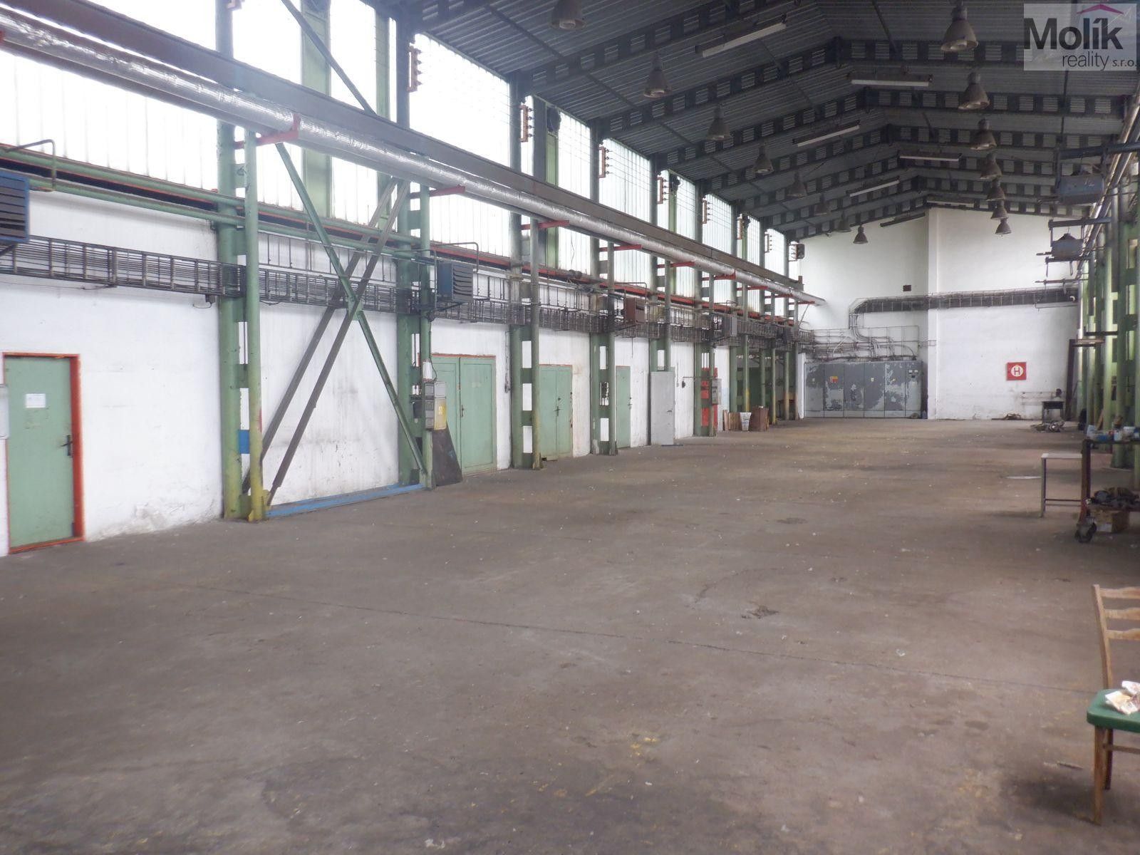 Pronájem komerčního prostoru 2500 m² - foto 6