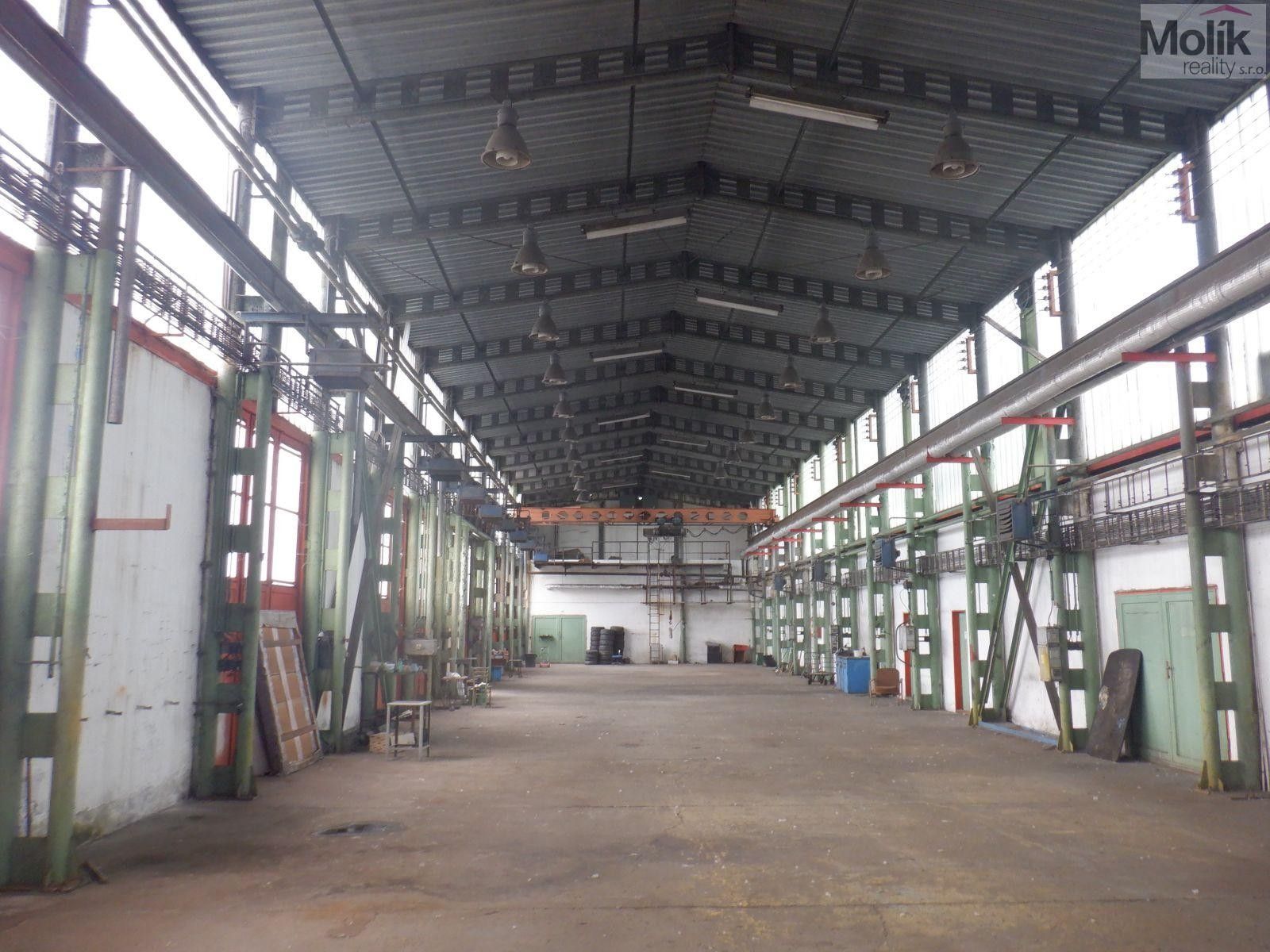 Pronájem komerčního prostoru 2500 m² - foto 7