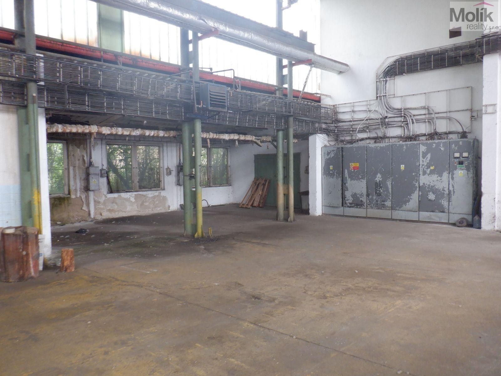 Pronájem komerčního prostoru 2500 m² - foto 10