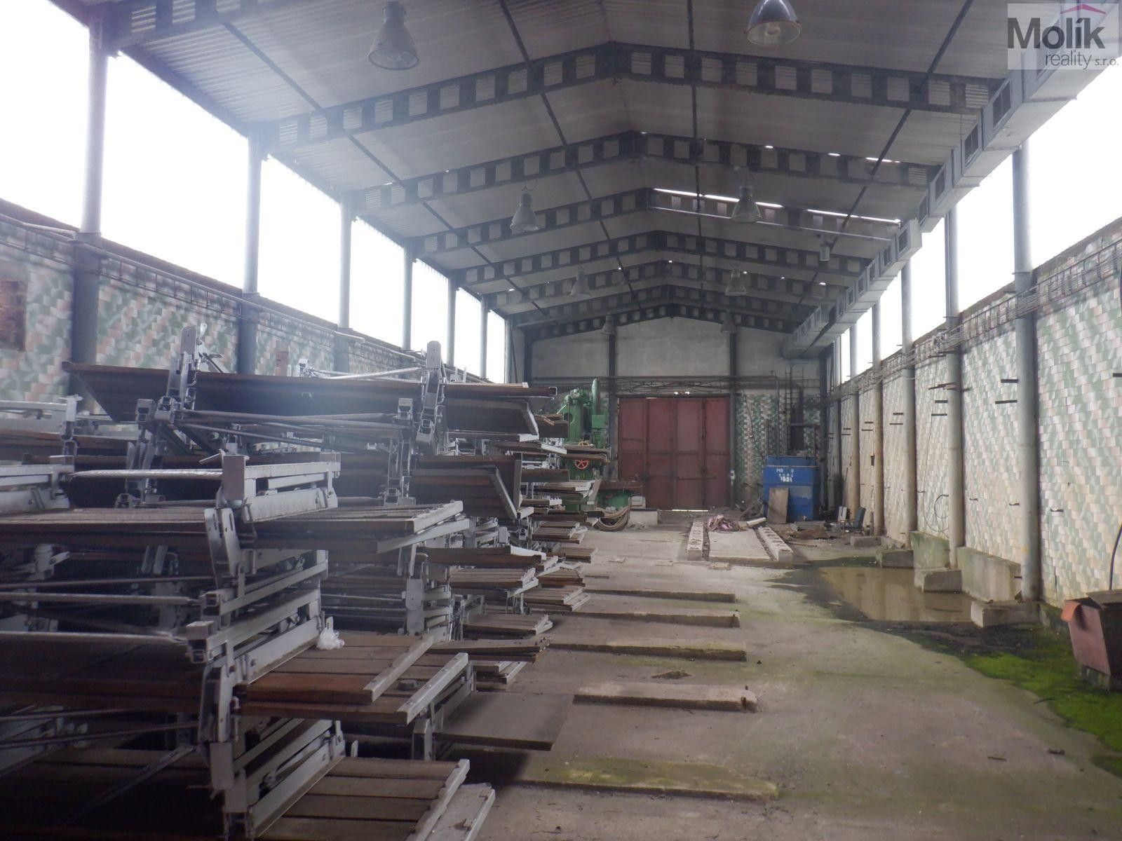 Pronájem komerčního prostoru 2500 m² - foto 12