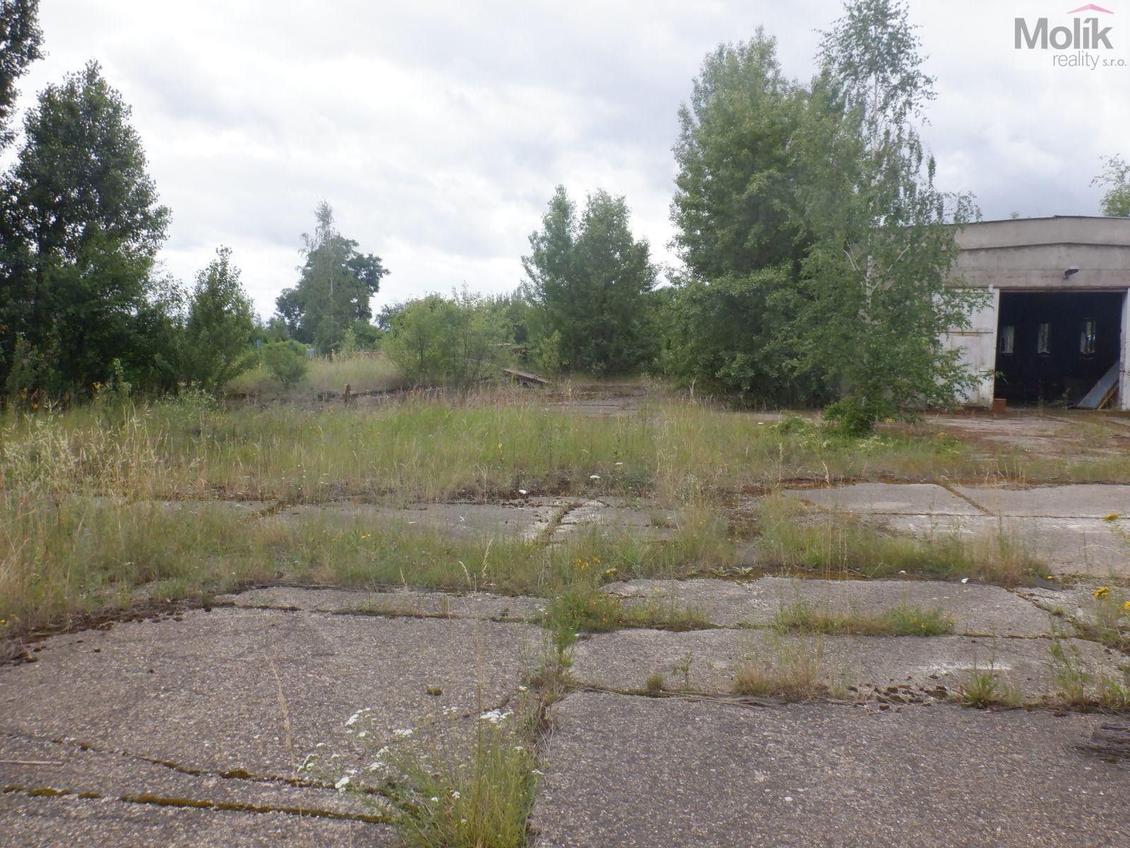 Pronájem komerčního prostoru 2500 m² - foto 14