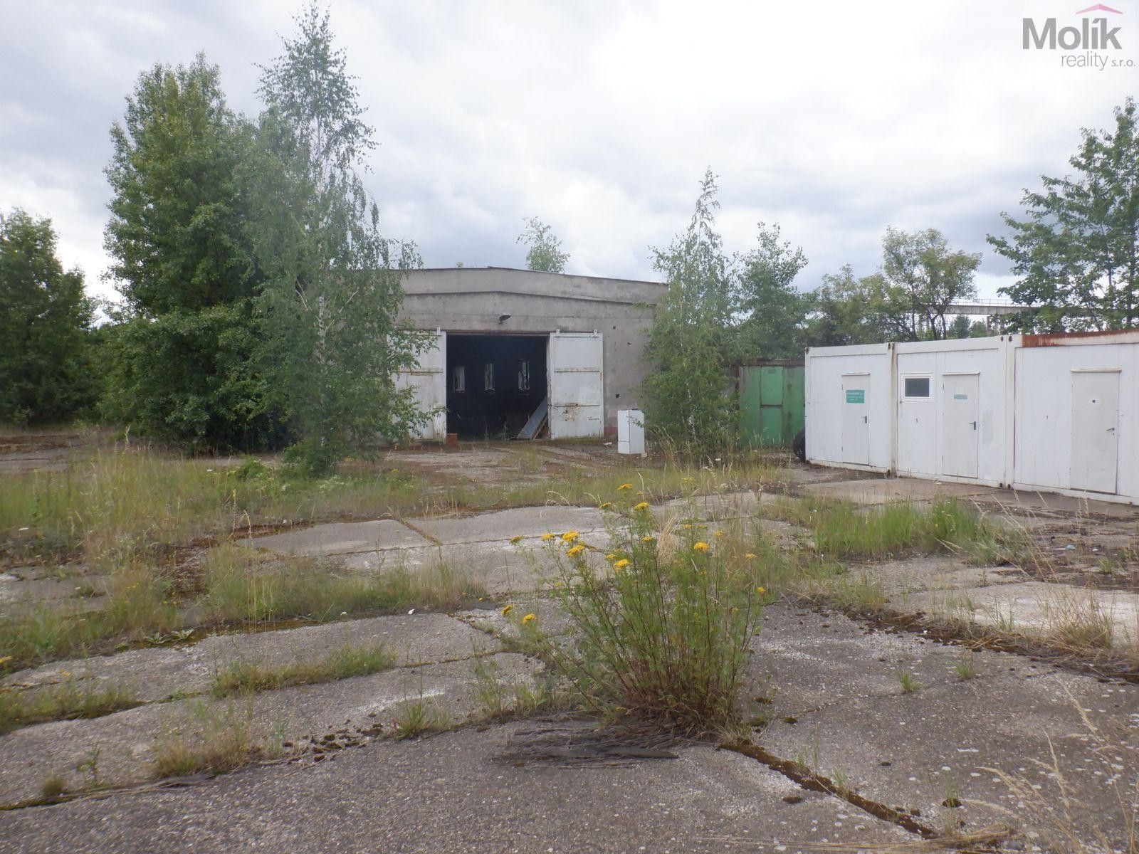 Pronájem komerčního prostoru 2500 m² - foto 16