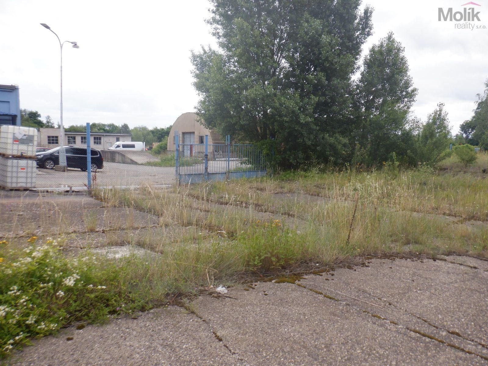Pronájem komerčního prostoru 2500 m² - foto 15