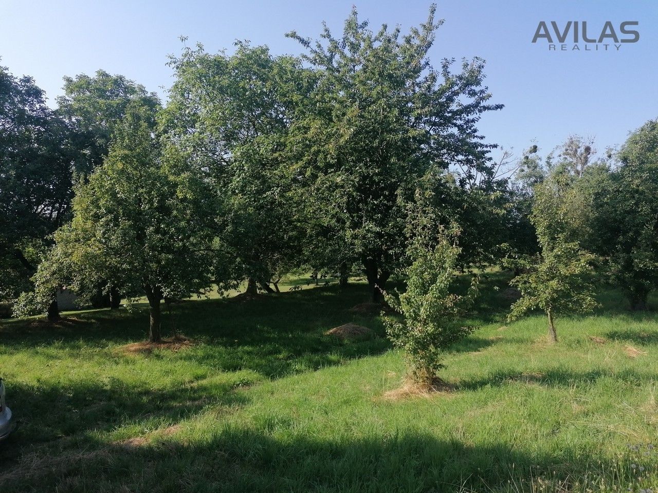 Prodej pozemku 2940 m² - foto 4