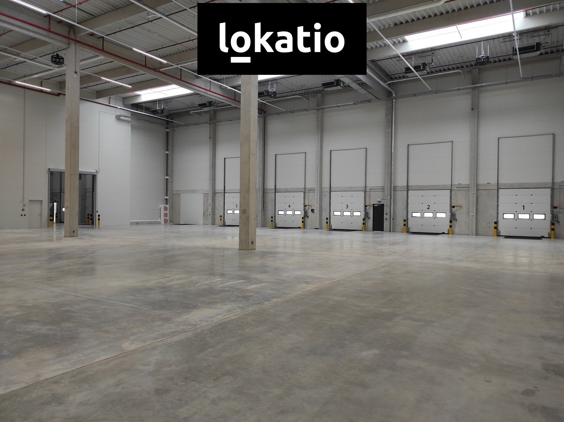 Pronájem komerčního prostoru 7420 m² - foto 4