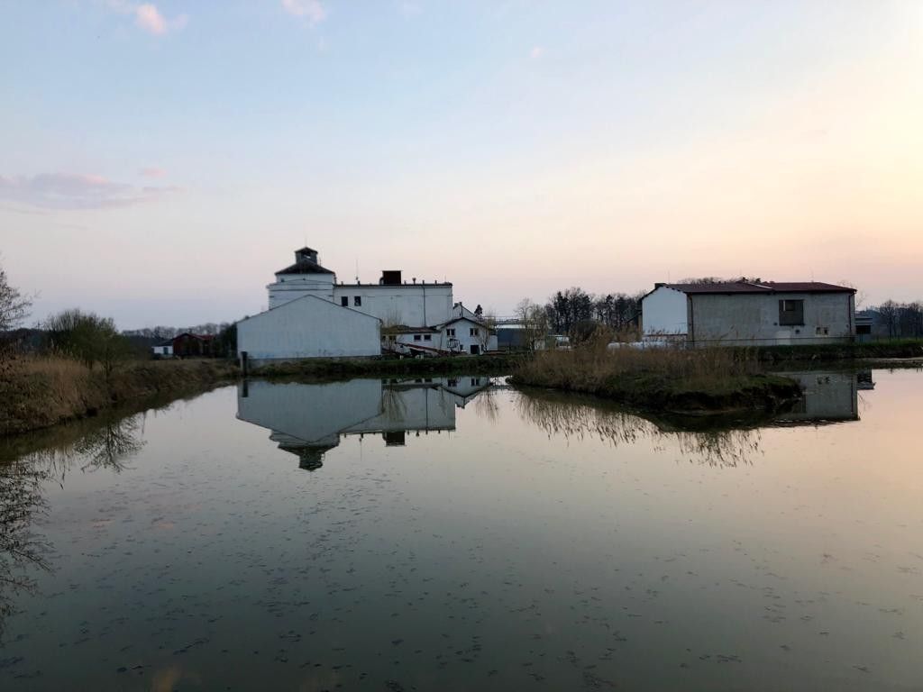 Prodej komerčního prostoru 7741 m² - foto 5