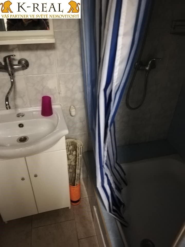 Pronájem bytu 1+1 40 m² - foto 3