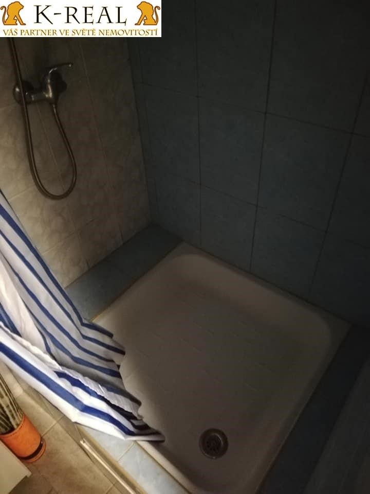 Pronájem bytu 1+1 40 m² - foto 7