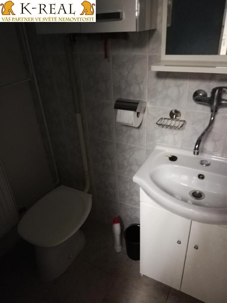 Pronájem bytu 1+1 40 m² - foto 4