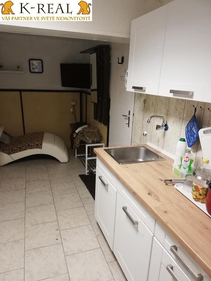 Pronájem bytu 1+1 40 m² - foto 13