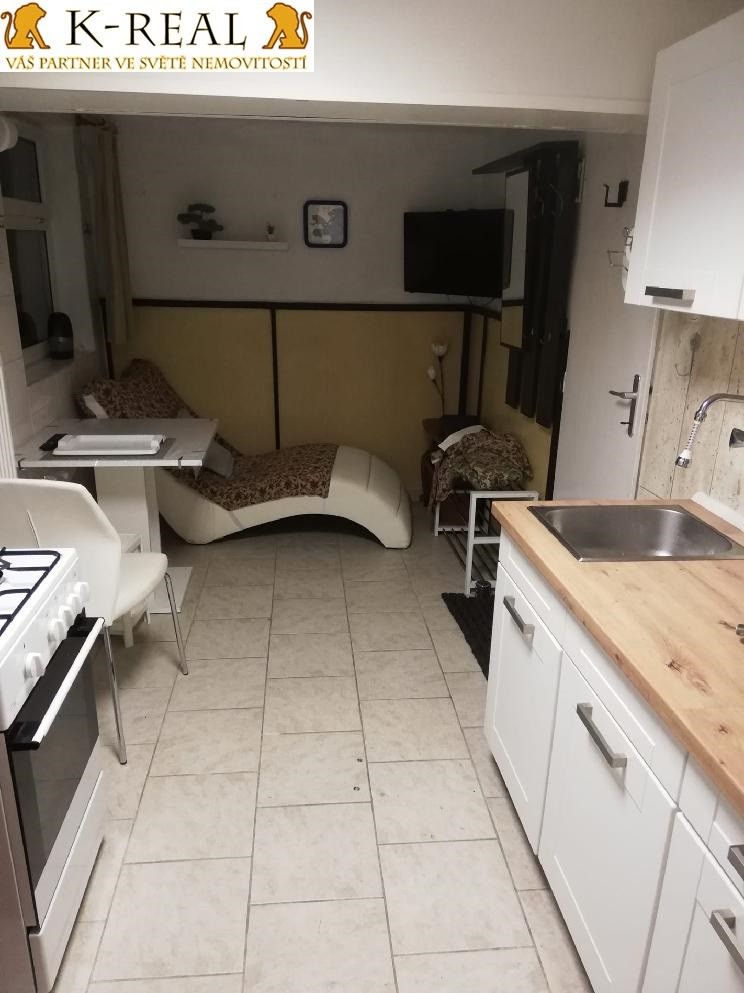 Pronájem bytu 1+1 40 m² - foto 14