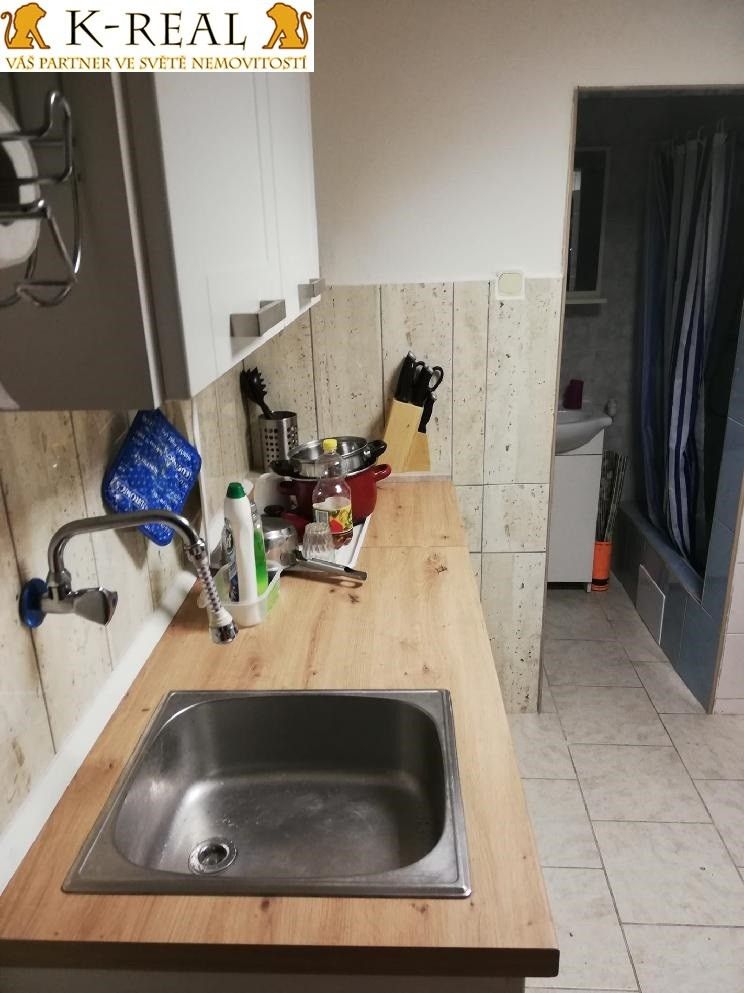 Pronájem bytu 1+1 40 m² - foto 15