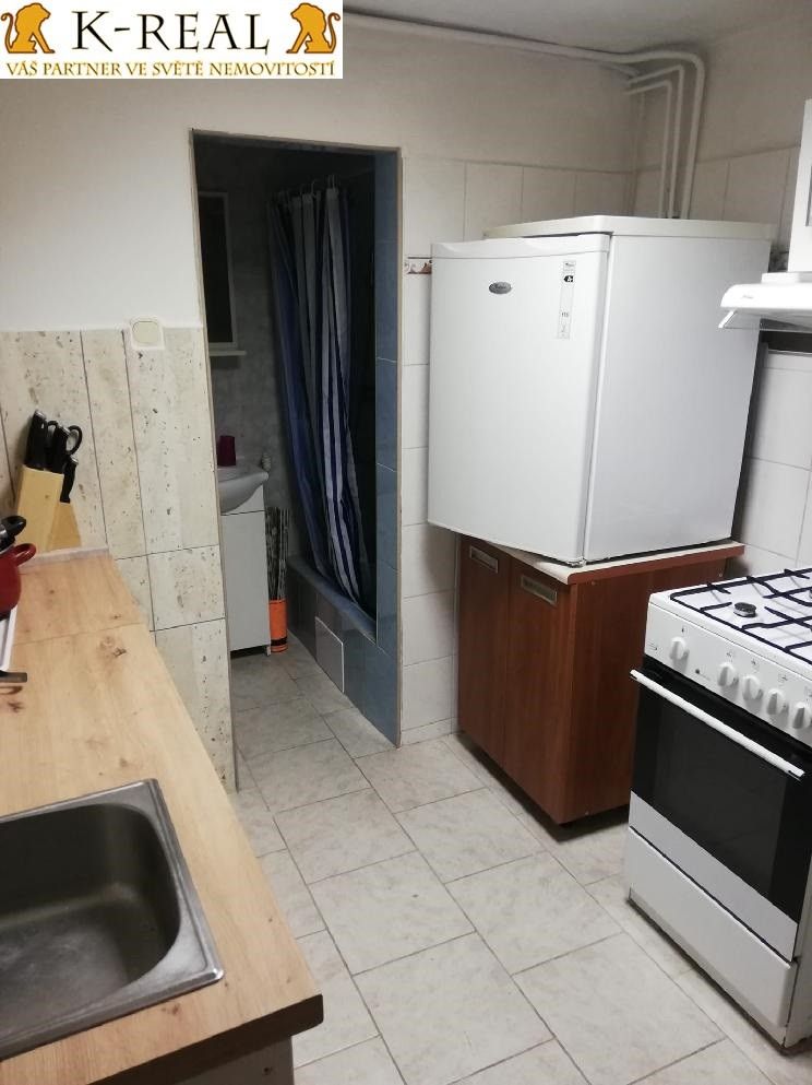 Pronájem bytu 1+1 40 m² - foto 16