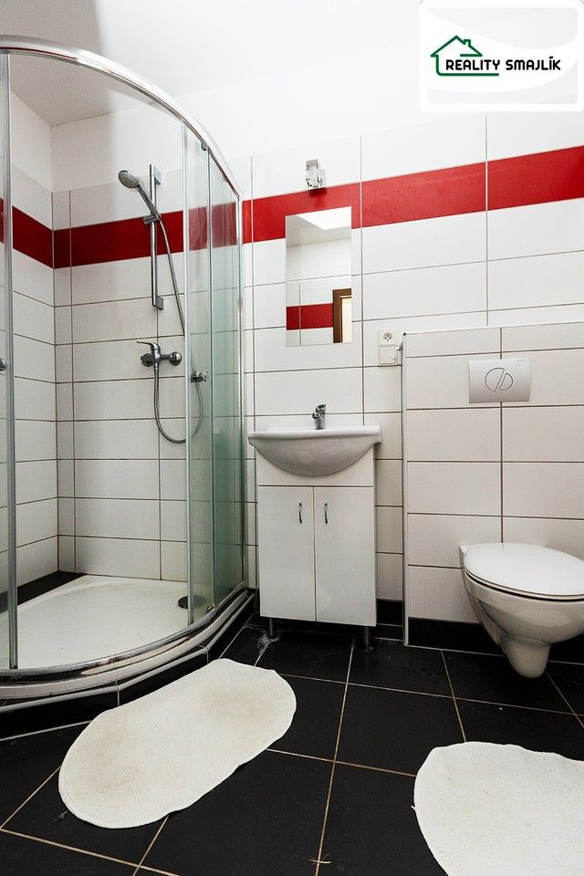 Prodej domu 250 m² - foto 13