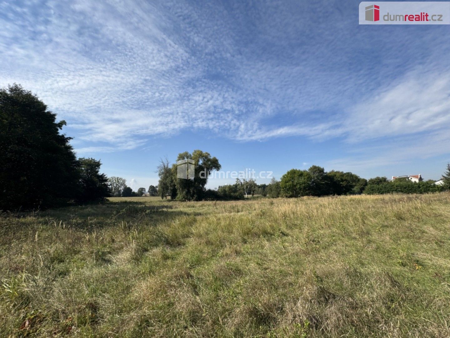 Prodej pozemku 4621 m² - foto 5