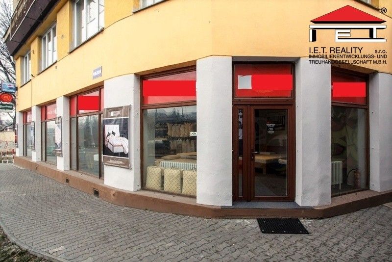 Pronájem komerčního prostoru 100 m² - foto 18