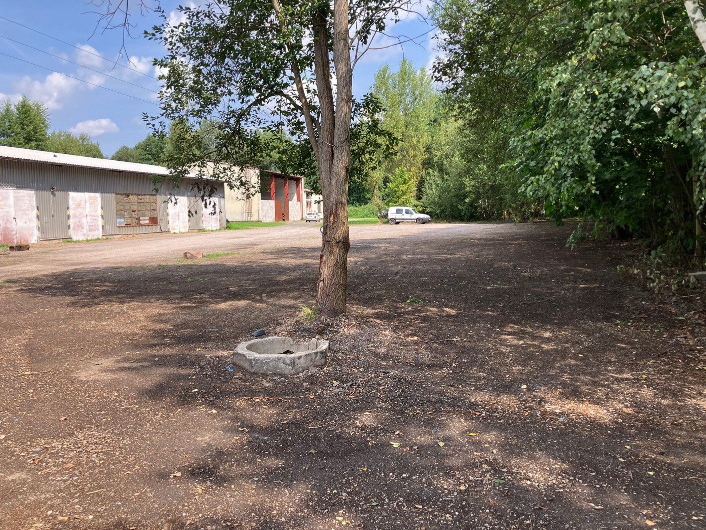 Pronájem pozemku 2000 m² - foto 1