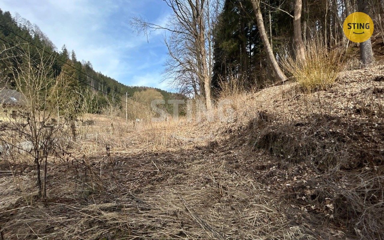 Prodej domu 700 m² - foto 16