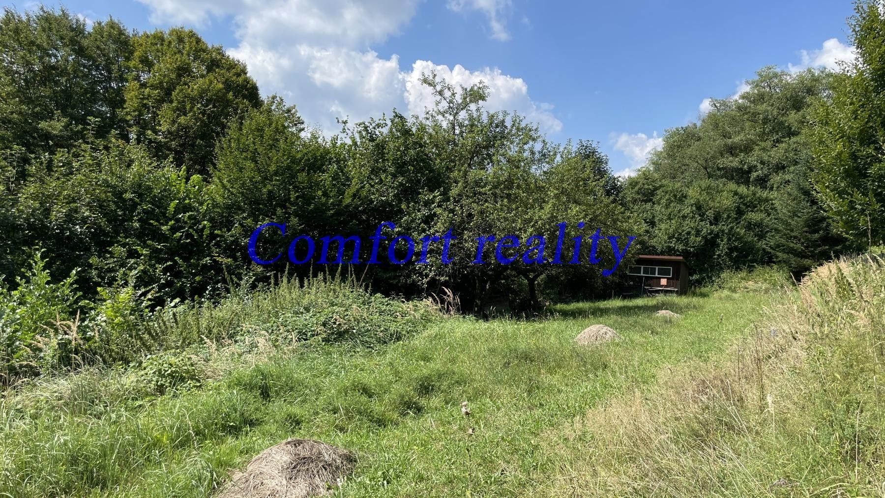 Prodej pozemku 2405 m² - foto 5