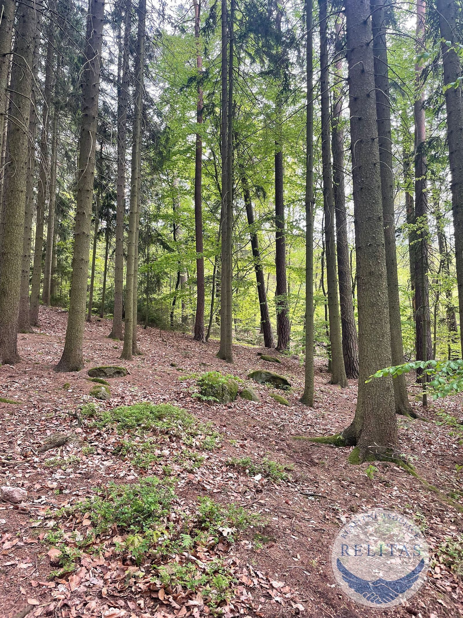Prodej pozemku 7759 m² - foto 5