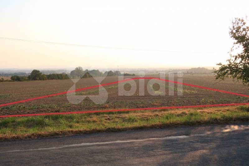 Prodej pozemku 3030 m² - foto 3