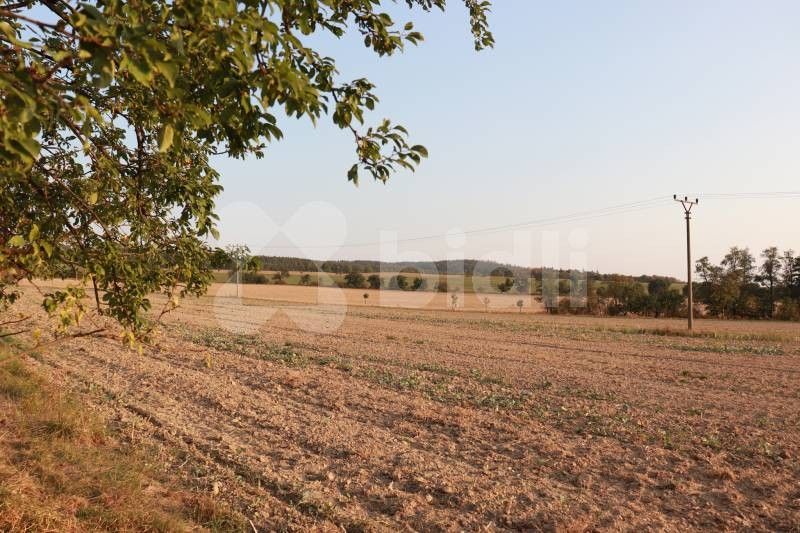 Prodej pozemku 3030 m² - foto 2